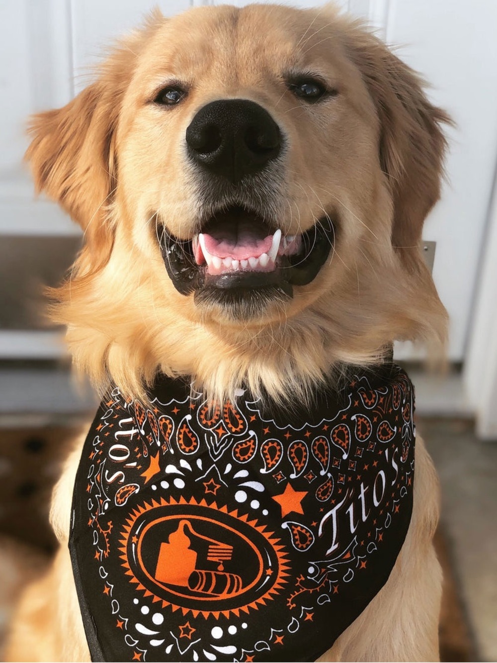 Tito’s Vodka bandana